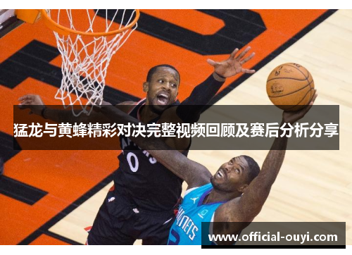 猛龙与黄蜂精彩对决完整视频回顾及赛后分析分享